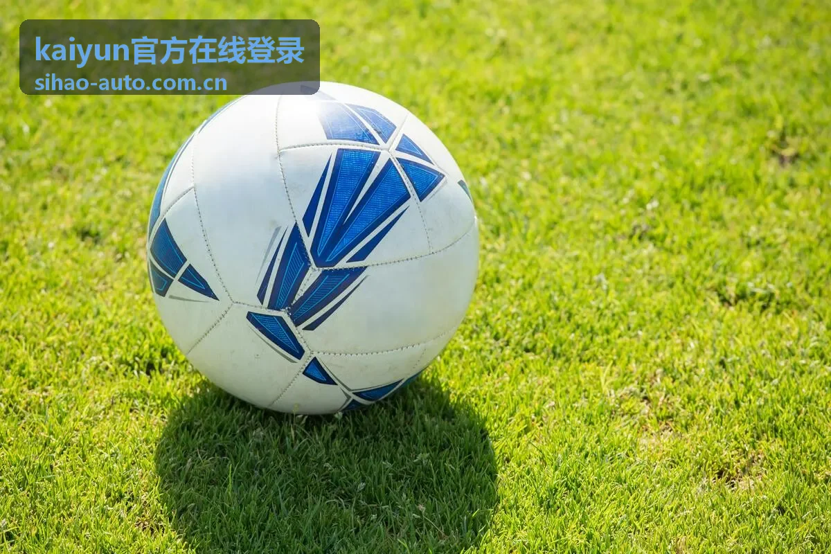 kaiyun官方在线登录在线客服功能